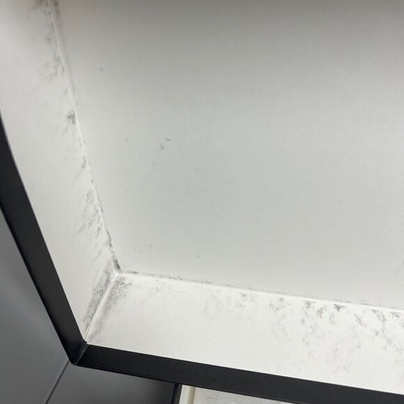 Authentic Gucci Classic Black & White Empty Shoe Storage Gift Box 14.5 x 8 x 5” - Picture 9 of 12